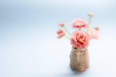 mavi bir arka plan üzerinde nazik gül ranunculuses sevimli buket