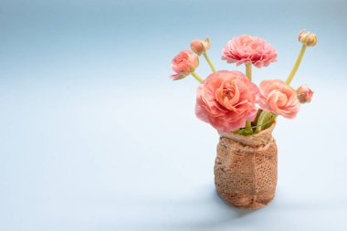 mavi bir arka plan üzerinde nazik gül ranunculuses sevimli buket