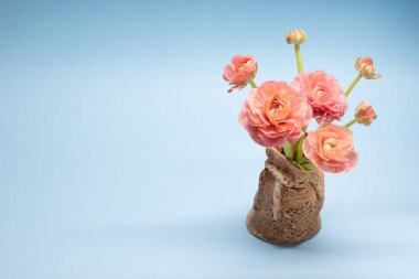 mavi bir arka plan üzerinde nazik gül ranunculuses sevimli buket