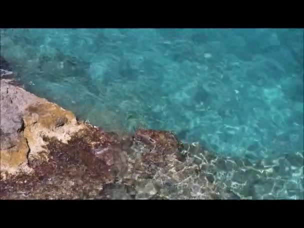 Turquoise Swim Bikini Beach — стоковое видео