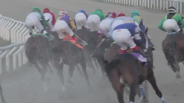 Closed Shot Horses Race Taking Curve Track — Stock Video