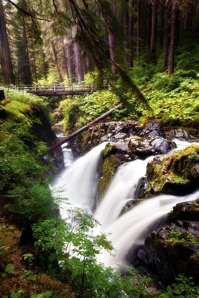 Waterfall Sol Duc Falls Olympic National Park Washington State — Stock Photo, Image
