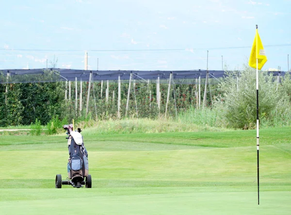 Flaga na zielonym polu golfowym Blue Monster i wózku golfowym. — Zdjęcie stockowe