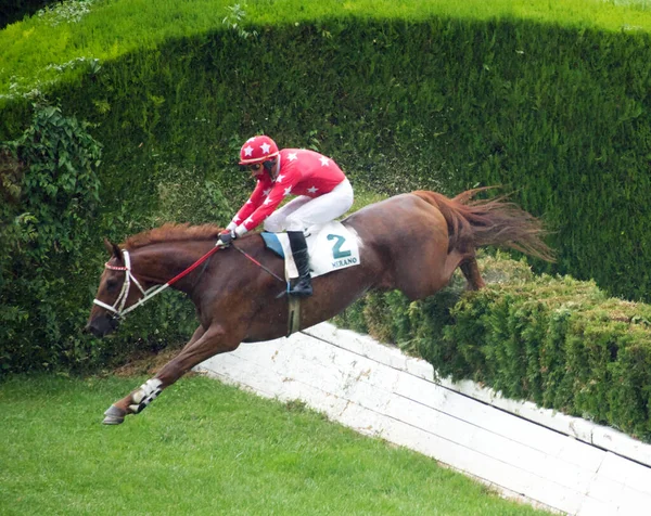Jockey Falling Horse Race While Others Running Further Race Merano — Stock Photo, Image