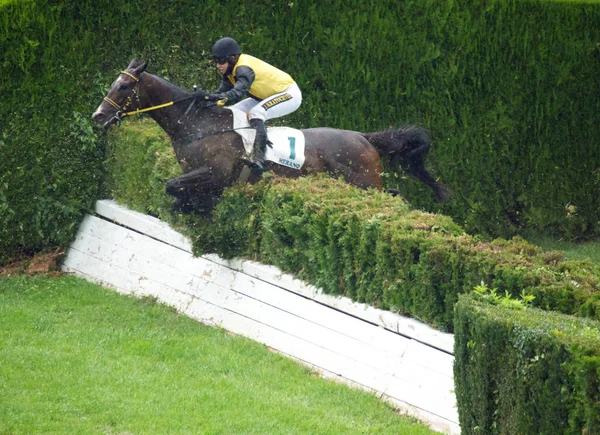 Jockey Falling Horse Race While Others Running Further Race Merano — Stock Photo, Image