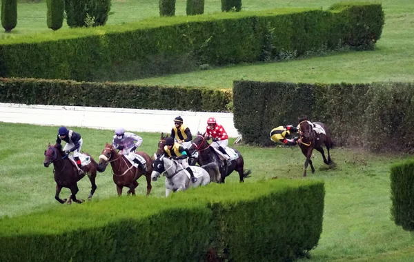 Jinete Cayendo Caballo Carrera Mientras Otros Corren Más Carrera Merano — Foto de Stock