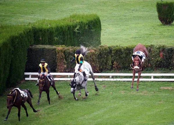 Jóquei Caindo Cavalo Corrida Enquanto Outros Correm Mais Corrida Merano — Fotografia de Stock