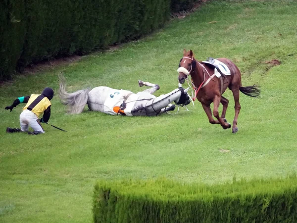 2020年9月6日にイタリアのメラノで開催されたレースでは レース中に馬から転ぶジョッキーもいました — ストック写真