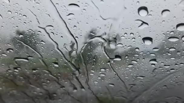 Padało Siedzenie Chowanie Się Samochodzie — Wideo stockowe