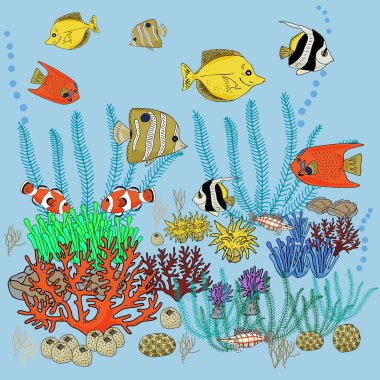 Parlak tropikal balık ve mercan seti. Kızıldeniz'in sakinleri.Sketch. Serbest çizim.