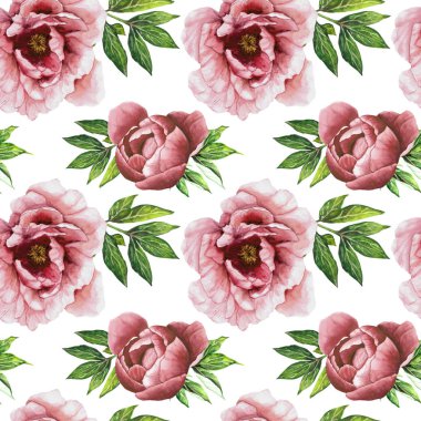 Beyaz bir arka planda Peonies.