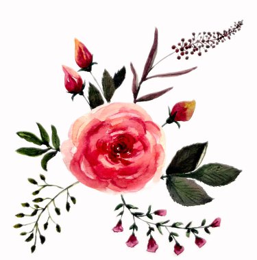 Zarif Buket Suluboya