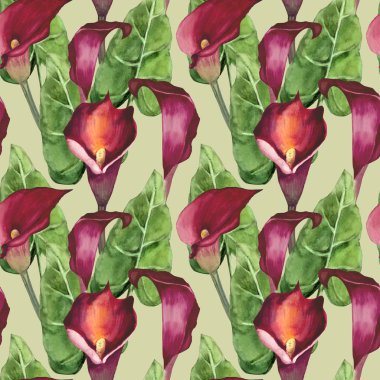 gerçekçi calla çiçek ve yaprakları