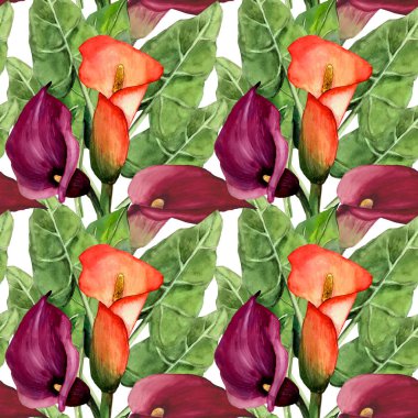 beyaz bir arka plan üzerinde mix callas