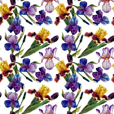 Suluboya beyaz bir arka plan üzerinde irises.