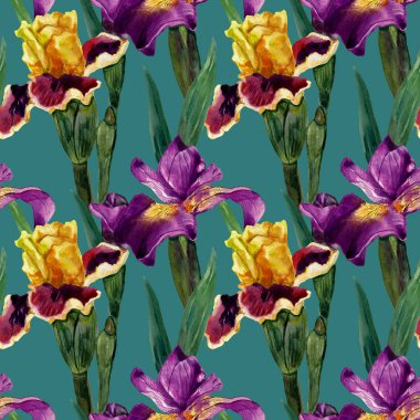 Suluboya koyu bir arka plan üzerinde irises