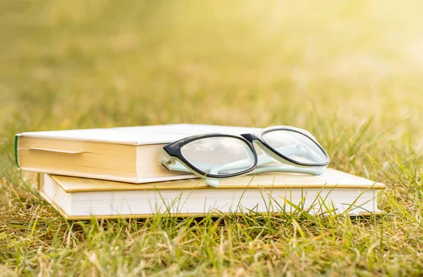 Açık havada kitap okuyorum. Kitapla kamp yapmak. Kitaplar ve bardaklar yeşil çimlerin üzerinde. Güneşin parıltısı, arka planda ışık. Eğitim. Uzaklık öğrenimi. 
