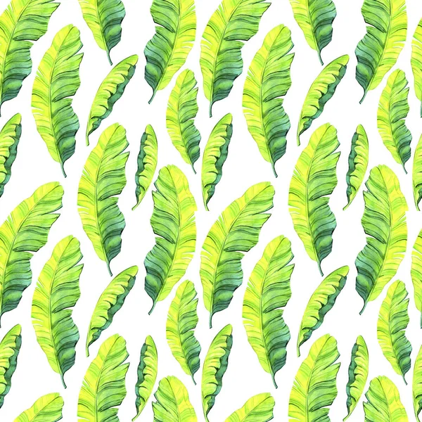 Watercolor tropical floral illustration set with green leaves for wedding stationary, greetings, wallpapers, fashion, backgrounds, textures