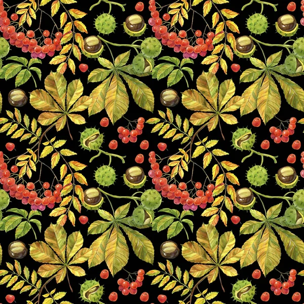 ローワンは葉と果実の束を残します。葉と栗の木の実。水彩画の秋のテーマ。パターンとテクスチャラスターイラスト,手作り. — ストック写真