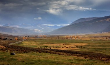 Yellowstone Milli Parkı Lamar Vadisi'nde hareket eden fırtınalar