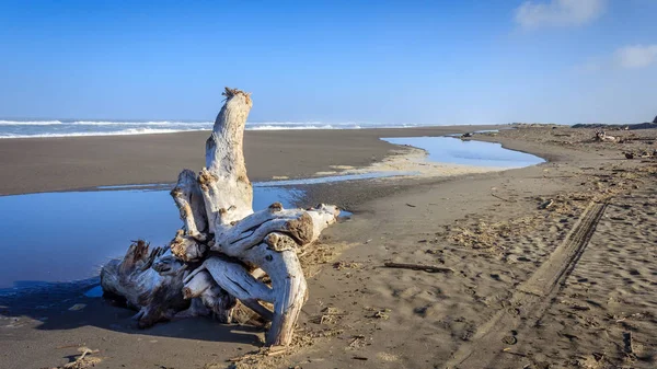Lost Coast strandutsikt — Stockfoto