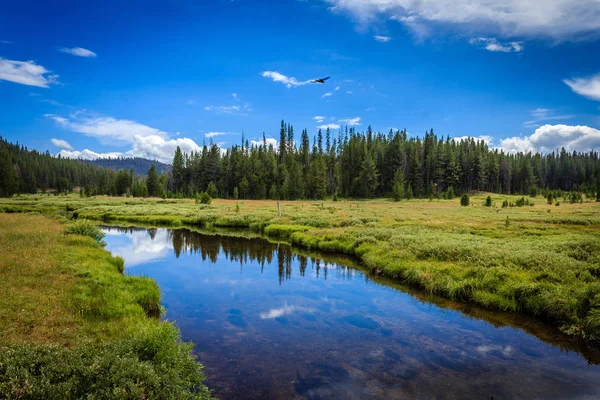 Vista Bear Valley Creek — Foto Stock