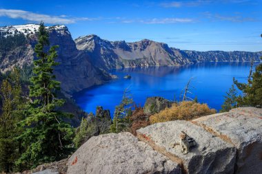 Crater Lake Squirrel clipart