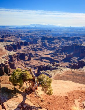 Canyonlands Güney görünümü