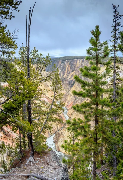 Grand Canyon di Yellowstone — Foto Stock