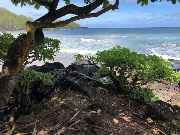 Hawaii Beach Dagen — Stockfoto