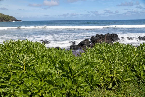 Maui Hawaii Plajında Dalgalar Süzülüyor — Stok fotoğraf