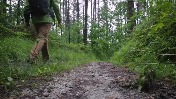 Caminhante Solitário Caminhando Pela Floresta Uma Tarde Chuvosa — Vídeo de Stock