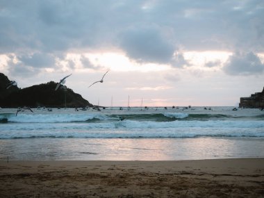 San Sebastian plajında uçan martılar