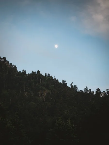 Lua sobre a floresta de pinheiros em Pirinéus — Fotografia de Stock