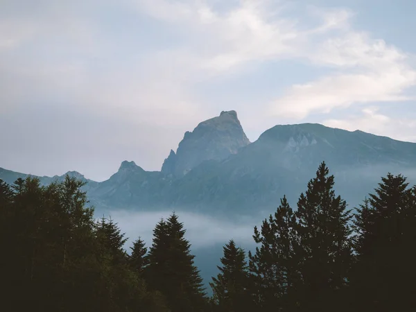 Pico de montaña por encima de la inversión de nubes y primer plano del bosque — Foto de Stock