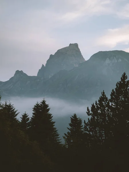 Pico de montaña por encima de la inversión de nubes y primer plano del bosque — Foto de Stock