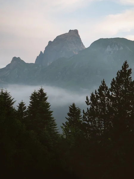 Pico de montaña por encima de la inversión de nubes y primer plano del bosque — Foto de Stock