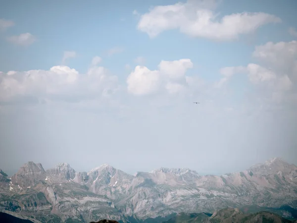 Gökyüzünde yüksek irtifa uçan vahşi kuş