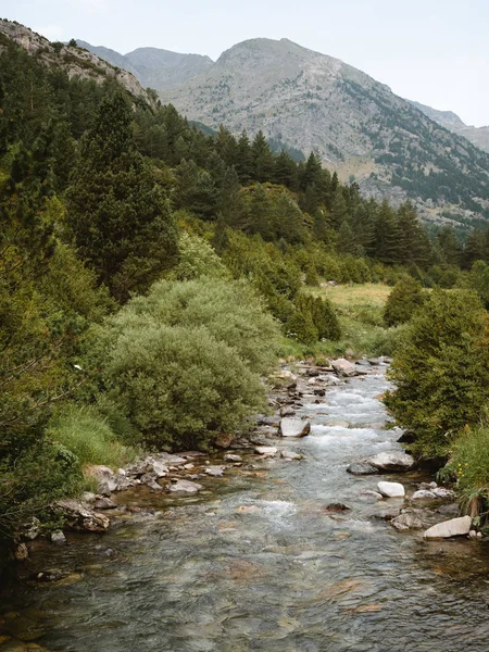 Альпийская река в горах между Испанией и Францией — стоковое фото