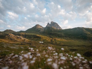 Gün doğumu sırasında ön planda çiçeklerile Büyük dağ zirvesi