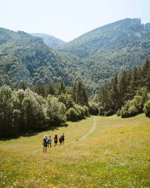 Group of hikers following the trail to the woods