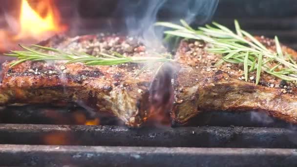 タイムで焼いた肉 ロースト肉 塩と香りのコショウを振りかけます 肉の上に火と煙の多くは タイムの香りの小枝です スローモーション クローズアップ — ストック動画