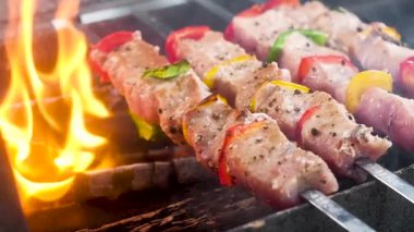 sulu, şişler üzerinde ihale et kebap. Et ve biber delinmiş ve kömürler üzerinde kızartılır. Et biber ve baharat serpilir. Açık ateşte yemek pişirmek. Yavaş çekim yakın çekim.