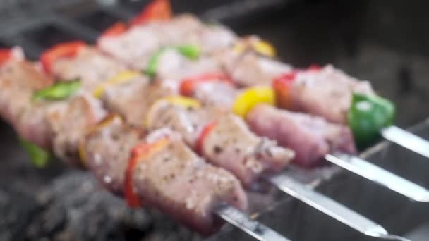 Sappige Mals Vlees Kebab Spiesjes Het Vlees Wordt Gegrild Vuur — Stockvideo