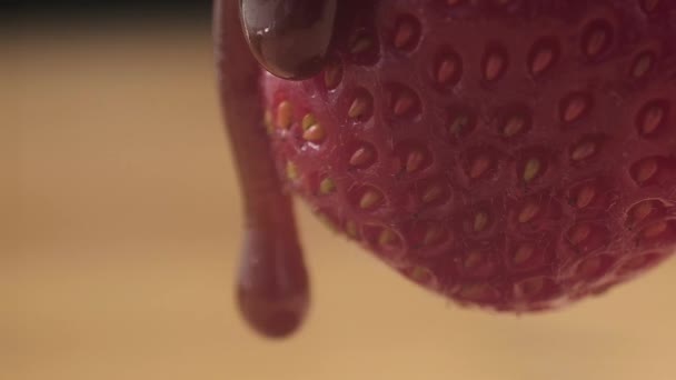 Red Juicy Strawberries Slowly Flows Drop Thick Brown Caramel Close — Stock Video