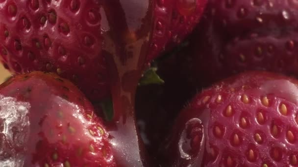 Gruby Słodki Brązowy Karmelowy Powoli Kapie Jagód Świeżych Czerwonych Truskawek — Wideo stockowe