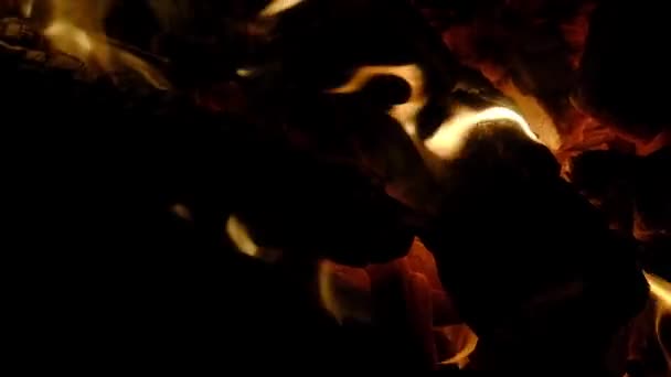 小さな炎の中で赤い熱い焦げ薪で夕方の火のパノラマショットクローズアップ — ストック動画