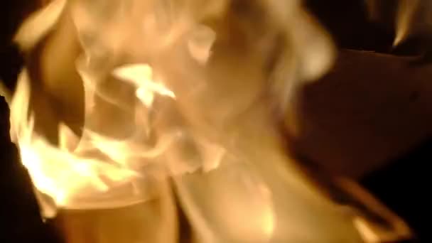 Fuoco Ardente Luci Notturne Legno Primo Piano — Video Stock