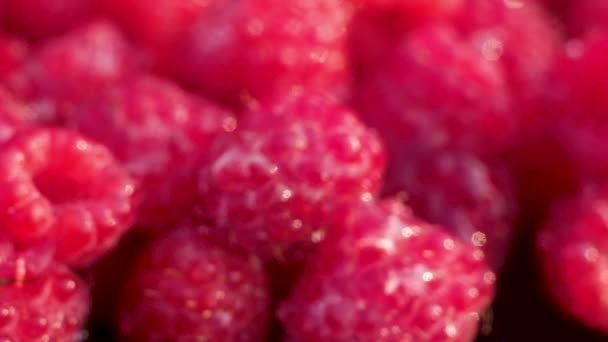 Panoramic Macro Photography Red Ripe Fresh Juicy Raspberries Large Drops — Stock Video