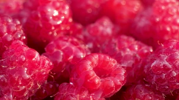 Macrofotografía Frambuesas Jugosas Frescas Maduras Rojas Con Grandes Gotas Agua — Vídeo de stock